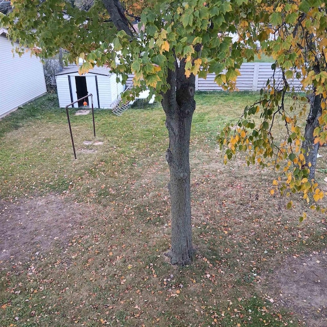 view of yard with a storage shed