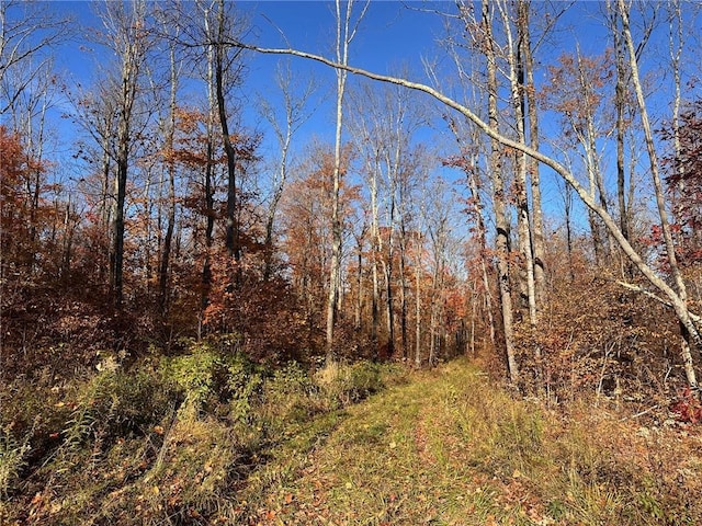 40775 State Highway 27, Barnes WI, 54873 land for sale