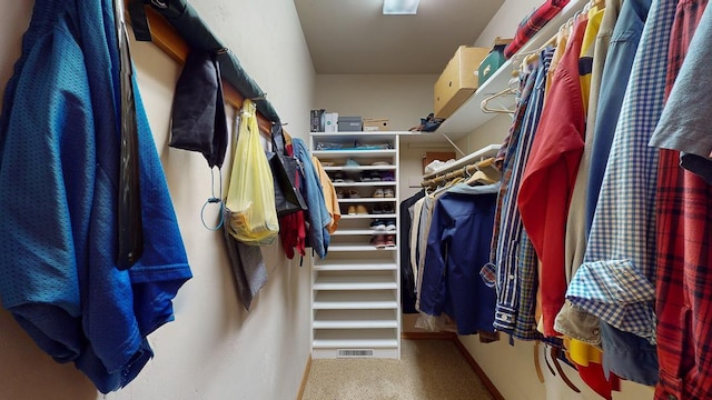 spacious closet with carpet