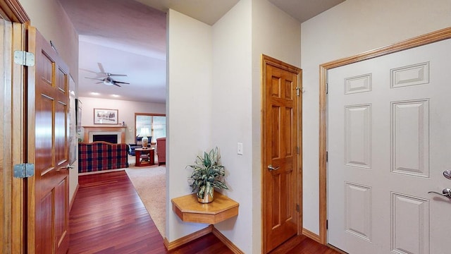 corridor featuring dark hardwood / wood-style floors