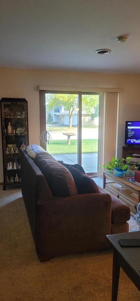 carpeted living room with a healthy amount of sunlight