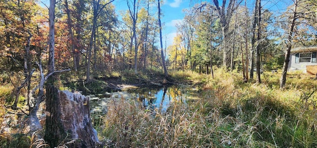 view of water feature