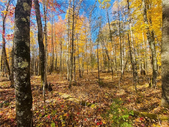 10ACRES Deer Lake Rd, Exeland WI, 54835 land for sale