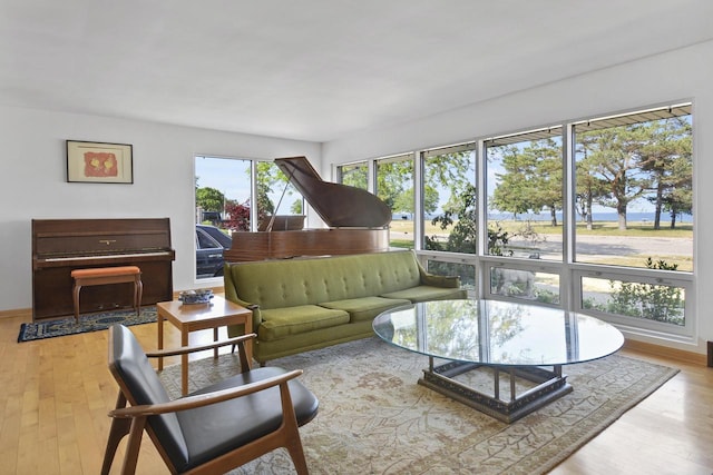 living room with light hardwood / wood-style flooring