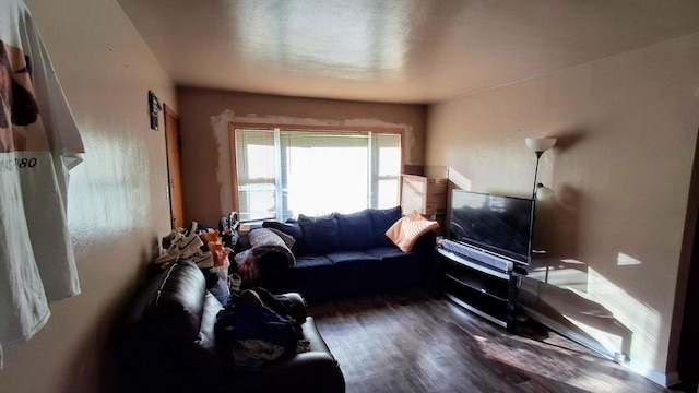 living room featuring dark hardwood / wood-style flooring