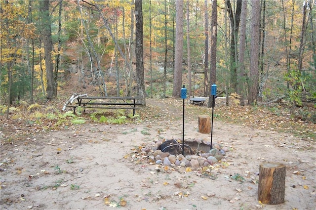 view of community featuring a fire pit