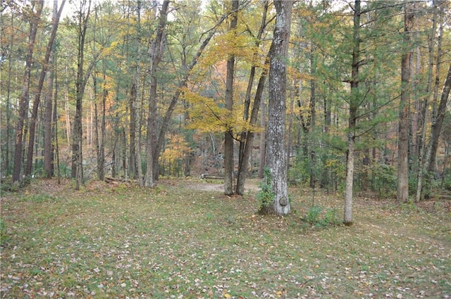 view of landscape