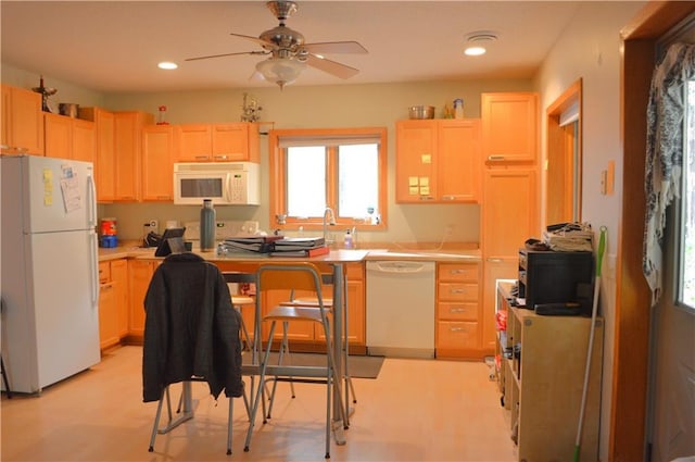 kitchen featuring white appliances, ceiling fan, light brown cabinetry, and sink