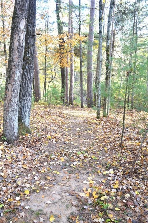 view of local wilderness