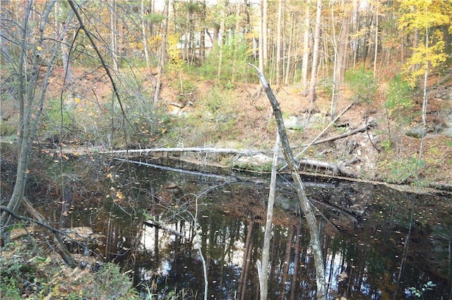 view of local wilderness with a water view