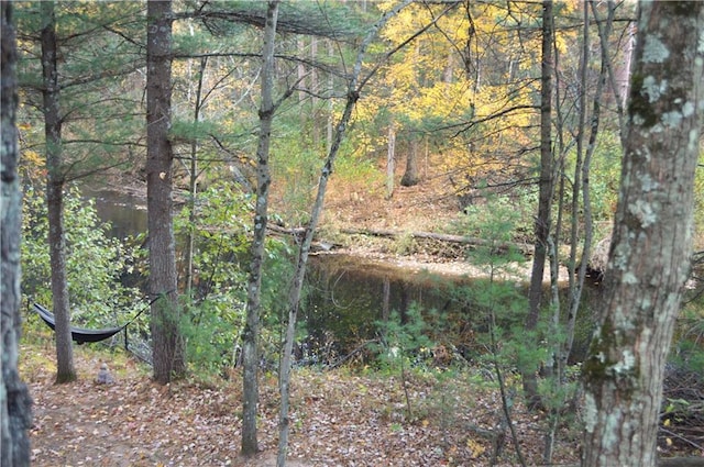 view of local wilderness featuring a water view