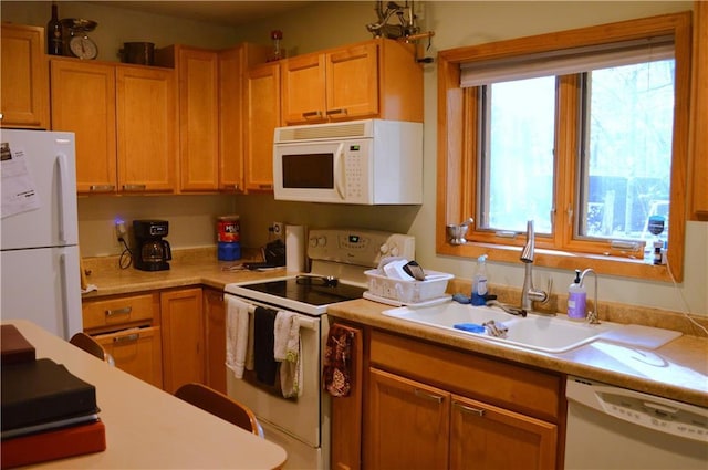 kitchen featuring sink and white appliances