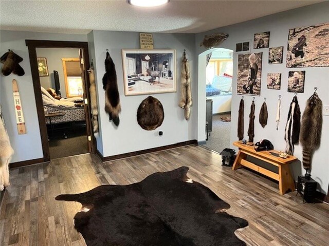 345 Old County D, Shell Lake, WI 54871 - interior space with wood finished floors and a textured ceiling