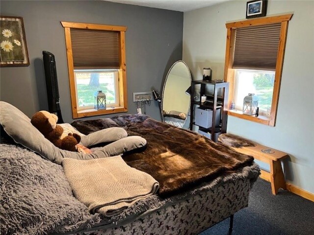 345 Old County D, Shell Lake, WI 54871 - bedroom with baseboards, carpet flooring, and multiple windows