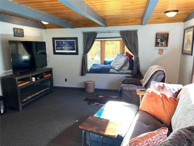 345 Old County D, Shell Lake, WI 54871 - living area featuring wooden ceiling, baseboards, beam ceiling, and carpet floors
