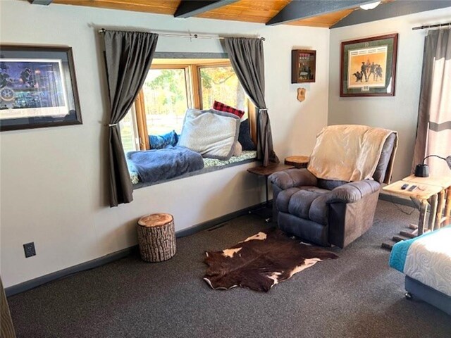 345 Old County D, Shell Lake, WI 54871 - living area with baseboards, carpet flooring, and vaulted ceiling with beams