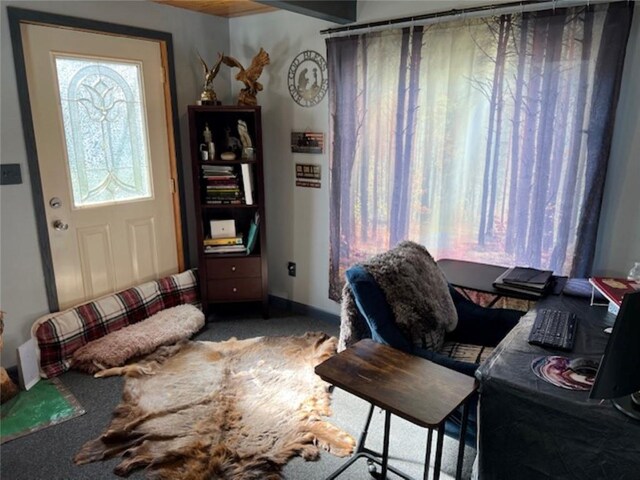 345 Old County D, Shell Lake, WI 54871 - carpeted office with baseboards