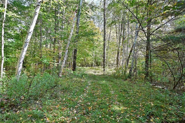 345 Old County D, Shell Lake, WI 54871 - view of landscape featuring a wooded view