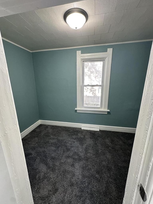 bonus room featuring carpet