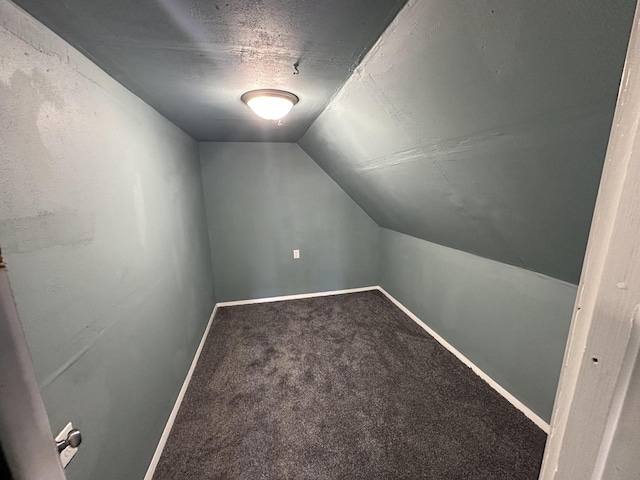 additional living space featuring lofted ceiling, a textured ceiling, and carpet flooring