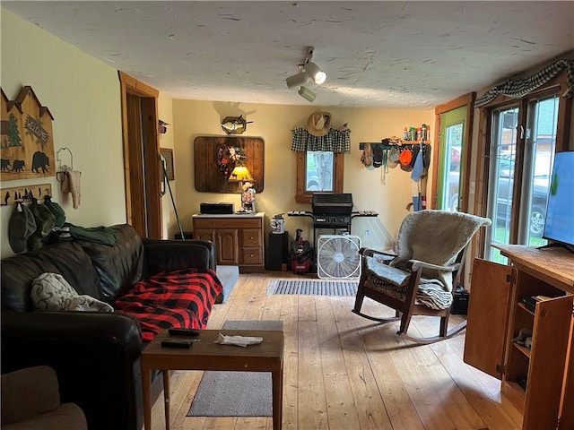 living room with light hardwood / wood-style flooring