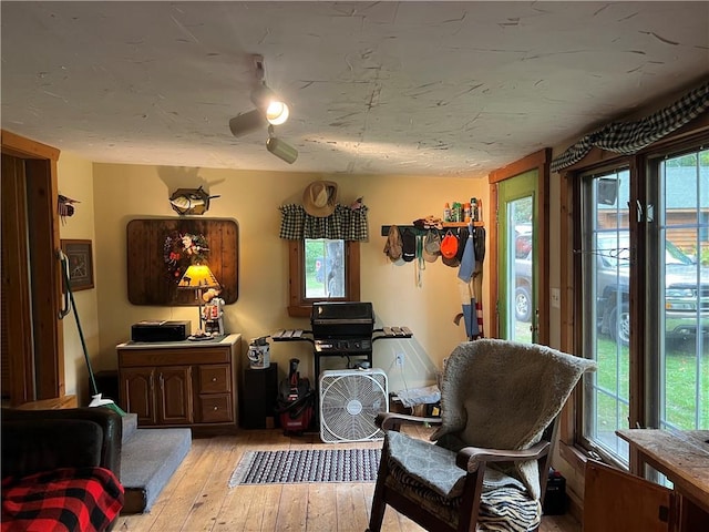 living area with light hardwood / wood-style floors and a healthy amount of sunlight