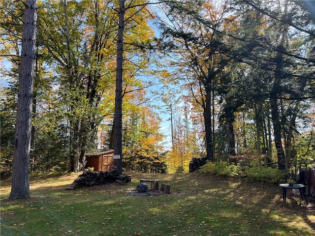 view of yard with a shed