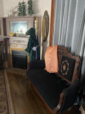 sitting room featuring wood-type flooring