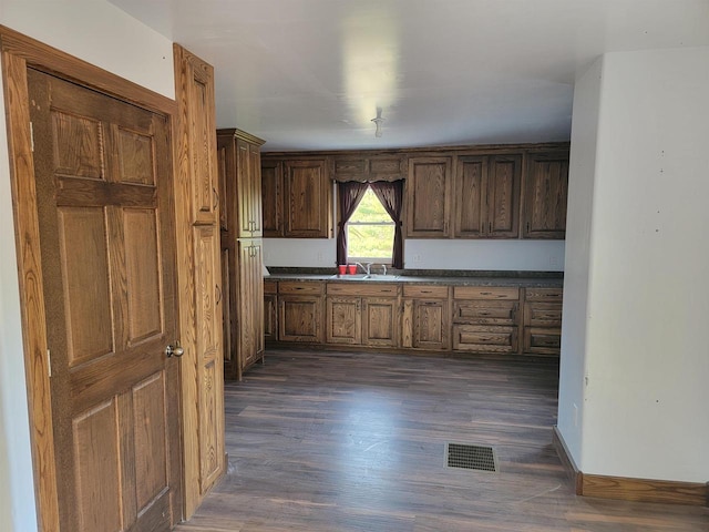 kitchen with dark hardwood / wood-style floors and sink