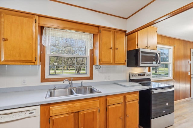 kitchen featuring light hardwood / wood-style floors, stainless steel appliances, sink, and plenty of natural light