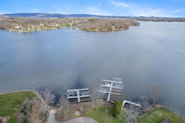 bird's eye view with a water and mountain view