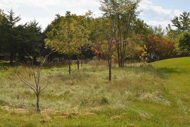 LOT92 Tamarack Rd, Spring Green, WI 53588