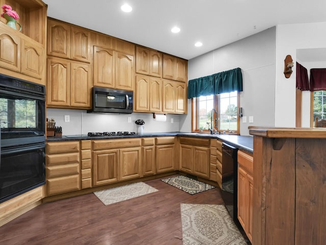 kitchen featuring plenty of natural light, black appliances, dark hardwood / wood-style floors, and sink