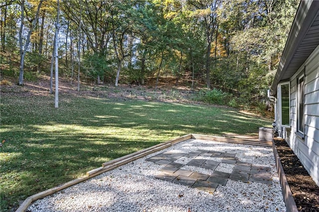 view of yard with a patio area