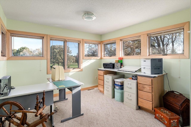 office space featuring light carpet, a textured ceiling, and a healthy amount of sunlight