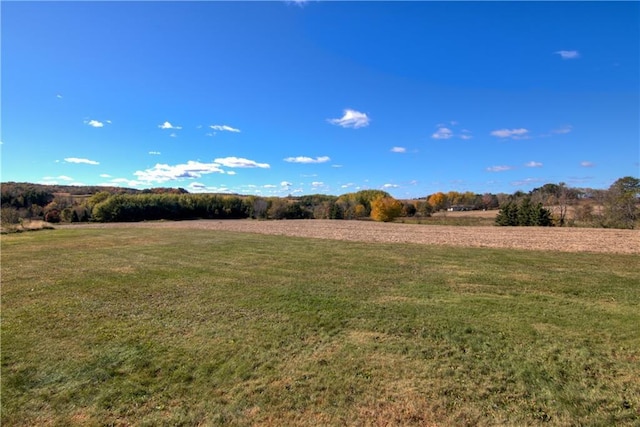 view of yard with a rural view