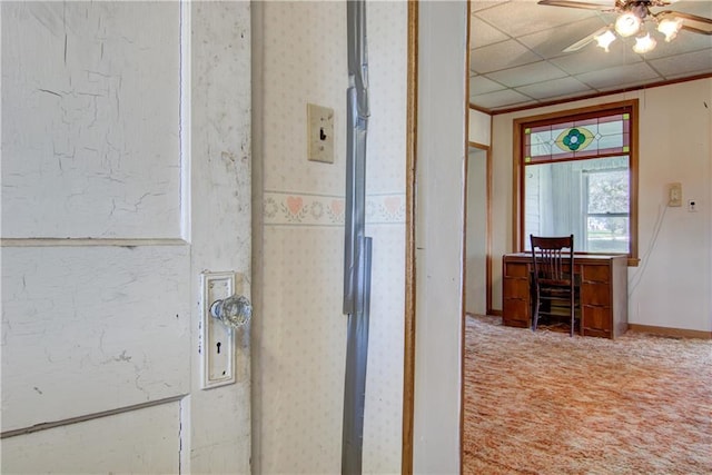 interior space with carpet, a paneled ceiling, and baseboards