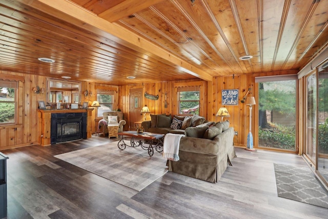 living room with wood ceiling, hardwood / wood-style flooring, and wood walls