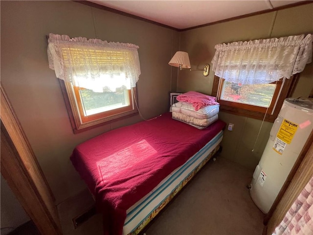 bedroom featuring water heater and crown molding