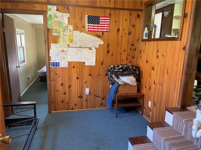 interior space featuring wooden walls and carpet floors