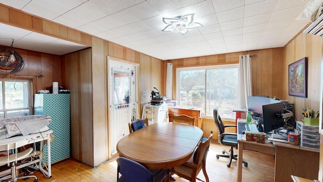 dining room featuring a wealth of natural light, wooden walls, and light wood-type flooring