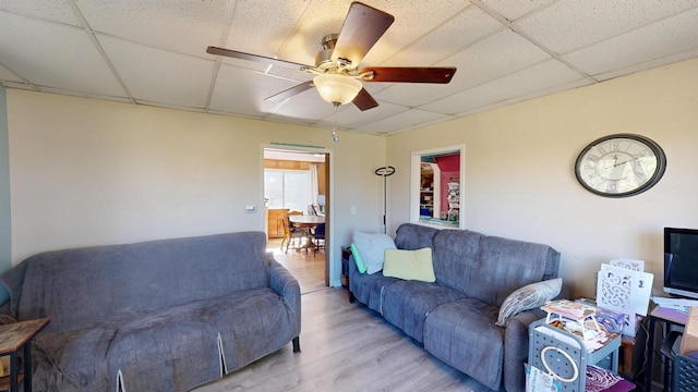 living room with a drop ceiling, light wood-type flooring, and ceiling fan