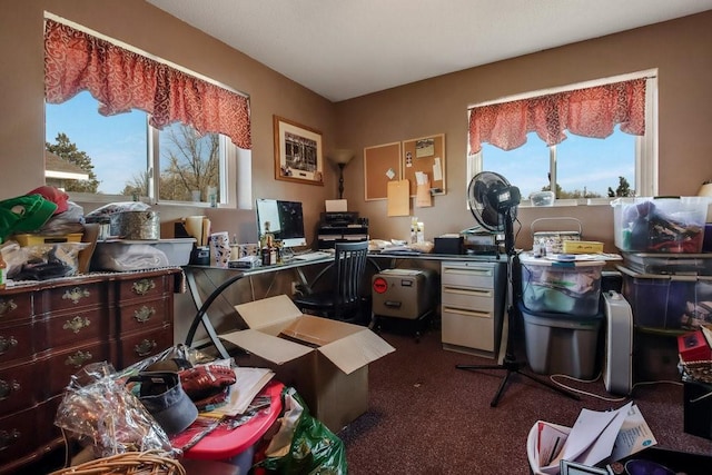 carpeted office space featuring plenty of natural light