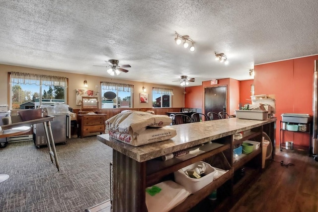 kitchen featuring a baseboard radiator, a textured ceiling, dark hardwood / wood-style floors, and ceiling fan