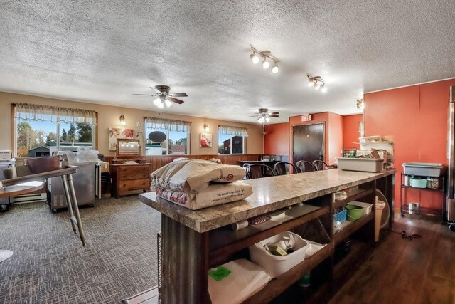 26314 276th St, Holcombe, WI 54745 - kitchen featuring a wealth of natural light, a ceiling fan, baseboard heating, and a textured ceiling