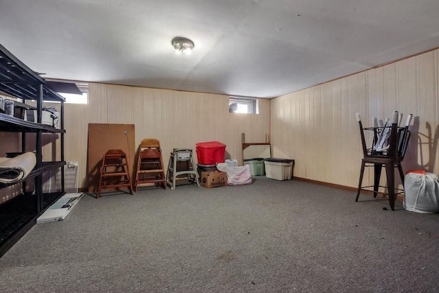 basement with carpet and wooden walls