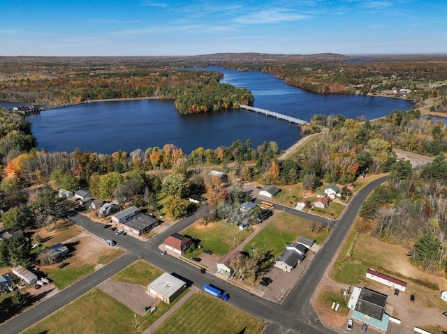 26314 276th St, Holcombe, WI 54745 - bird's eye view with a forest view and a water view