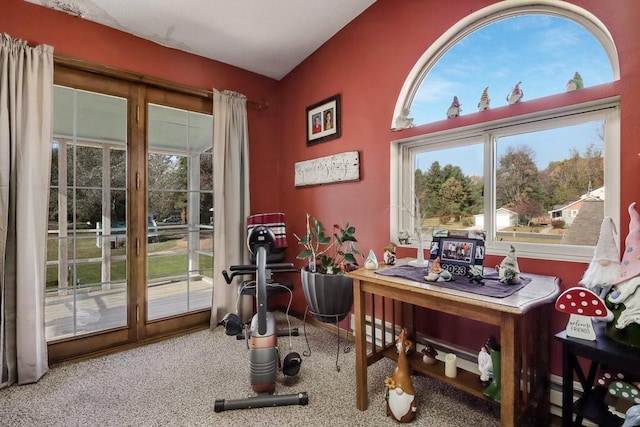 carpeted office space with plenty of natural light