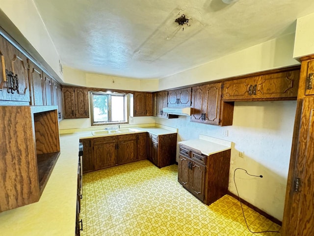 kitchen featuring sink and dark brown cabinets