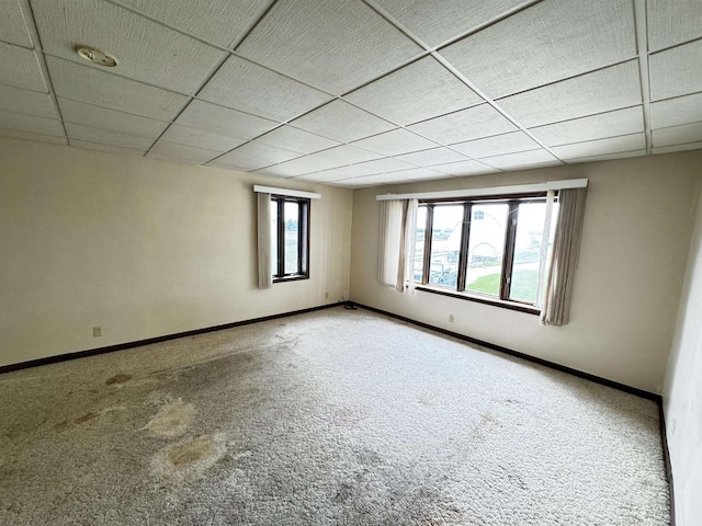 unfurnished room featuring a drop ceiling and carpet